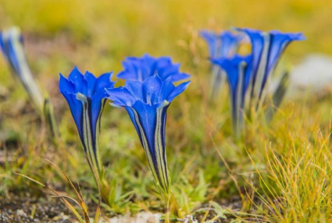 1631500796914335.jpg 1631500796914335.jpg