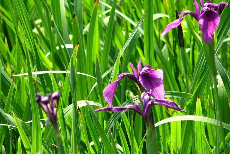 1631508469773763.jpg 1631508469773763.jpg