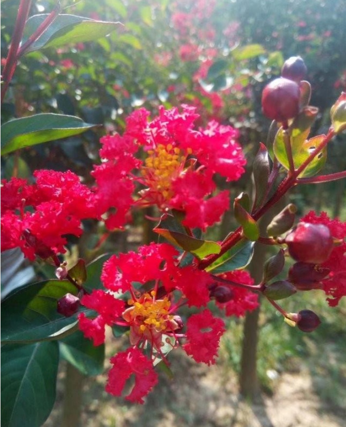 1631510379866563.jpg 1631510379866563.jpg