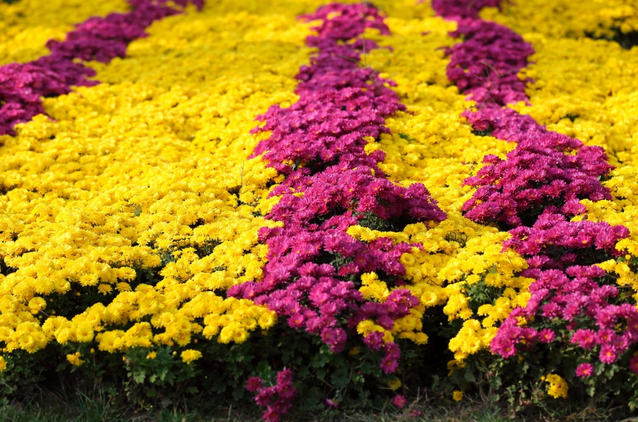 1631514350934047.jpg 1631514350934047.jpg