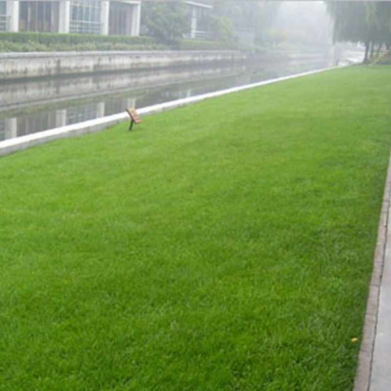 1631524858480483.jpg 71dae9abae3a5ad0fb925bbf7a1ceaa5_1c25eec93e1a233e2ada7ff543f84259.jpg