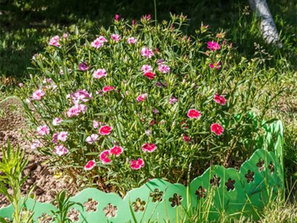 1631585560354623.jpg 1.jpg