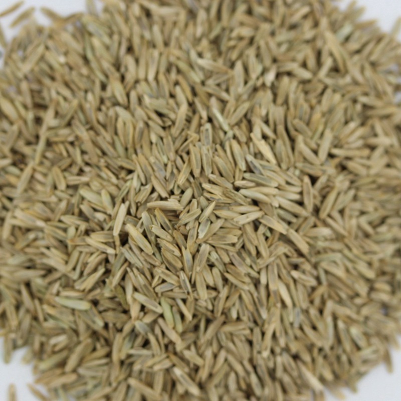 1631598350283533.jpg 1631598350283533.jpg