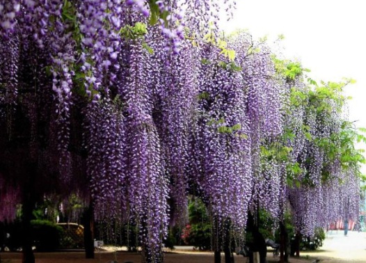 1631606997171230.jpg image.jpg