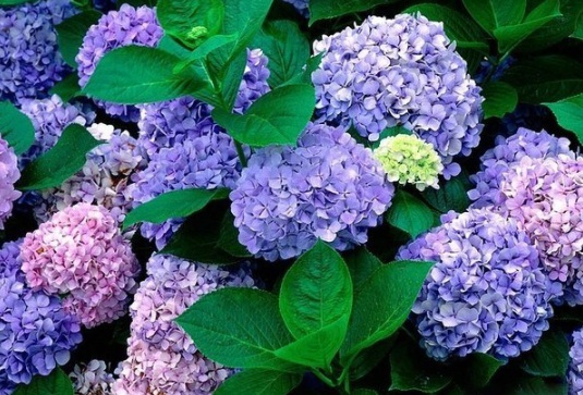 1631607218330924.jpg image.jpg