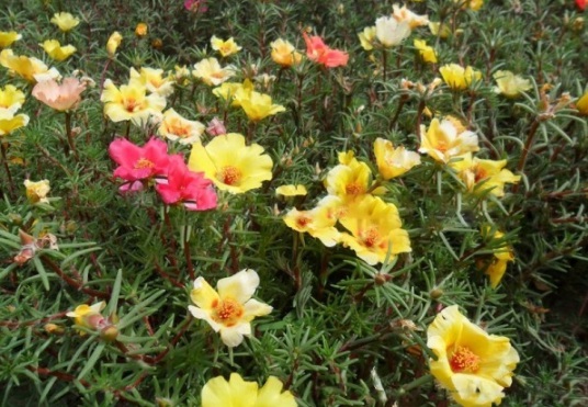 1631607384621853.jpg image.jpg