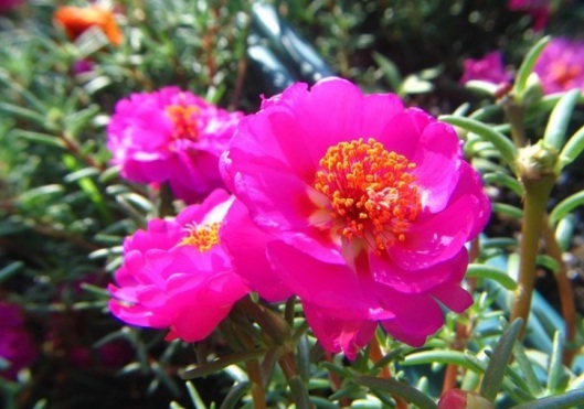 1631607440582400.jpg image.jpg