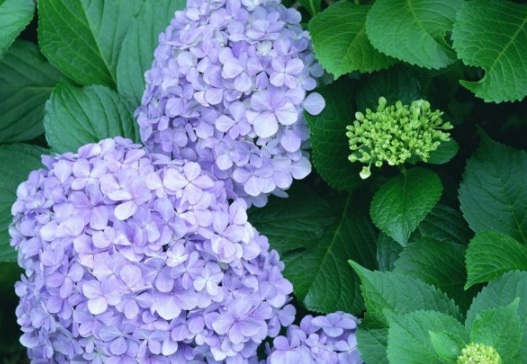 1631607671521377.jpg image.jpg