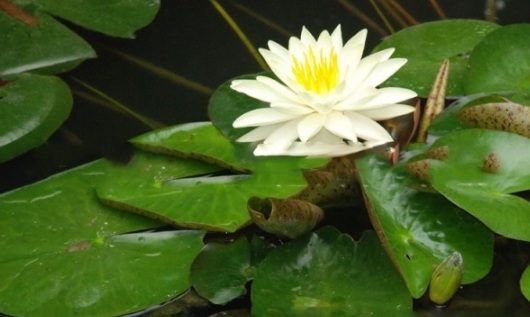 1631607821161565.jpg image.jpg