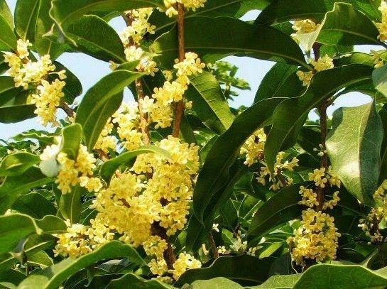 1631670656792281.jpg 1631670656792281.jpg