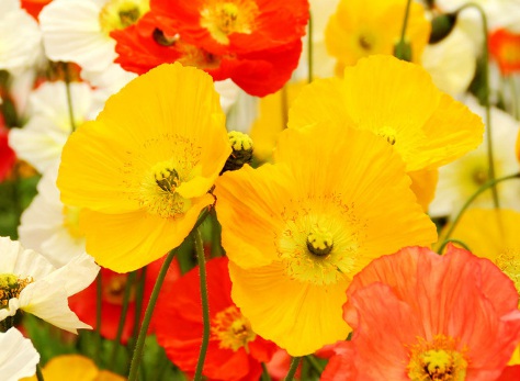 1631752022787681.jpg 1631752022787681.jpg