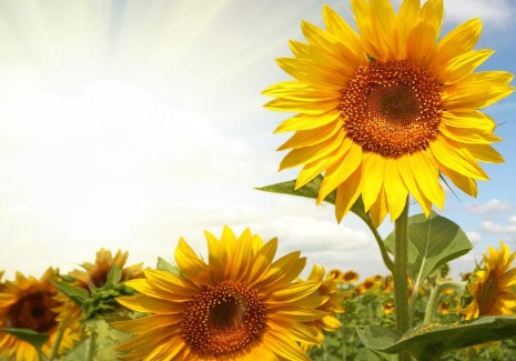 1631752126442614.jpg 1631752126442614.jpg