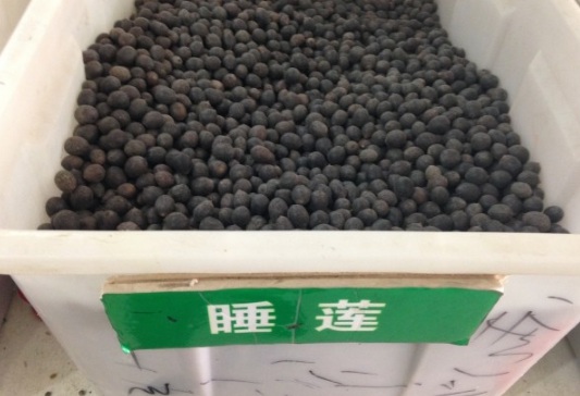 1631787270485013.jpg image.jpg