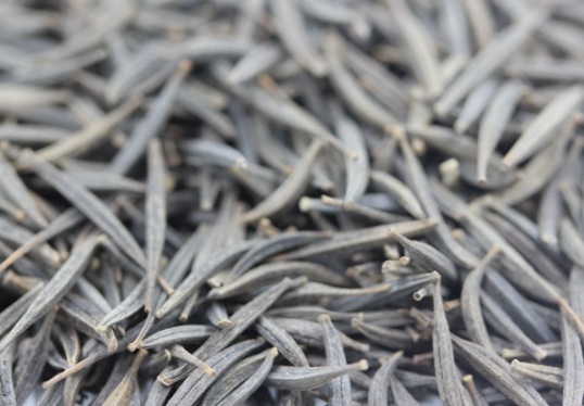 1631787631413215.jpg image.jpg