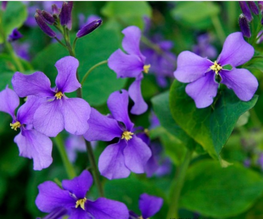 1631789497570000.jpg 1631789497570000.jpg