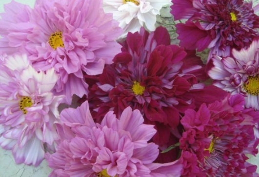 1631798181662125.jpg image.jpg