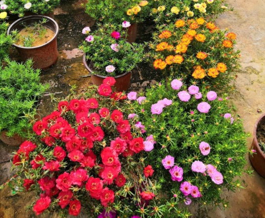 1631799718346345.jpg image.jpg