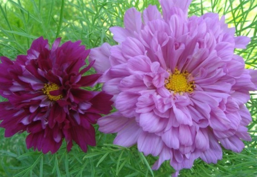 1631800180642888.jpg image.jpg