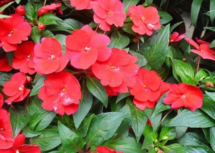 1631842541681676.jpg 1631842541681676.jpg