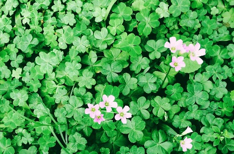 1631843012449250.jpg 1631843012449250.jpg