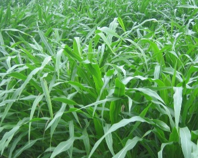 1631843401725532.jpg 1631843401725532.jpg