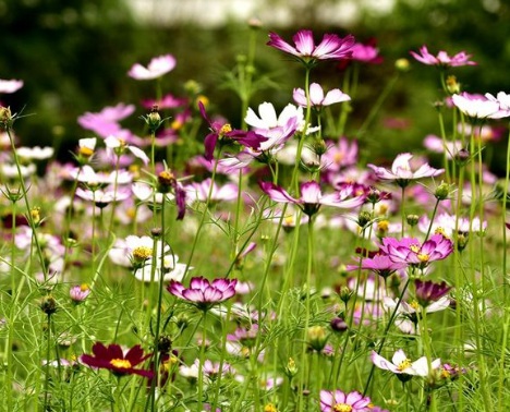 1631843661372913.jpg 1631843661372913.jpg