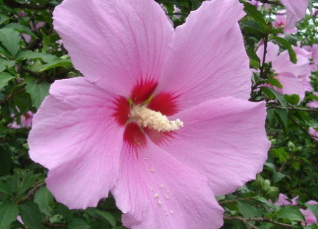 1631844430302212.jpg image.jpg