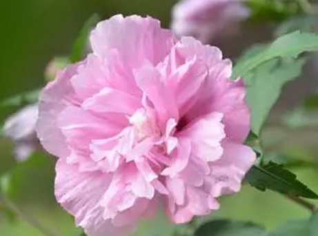 1631844444190475.jpg image.jpg