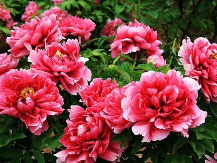 1631844553528224.jpg 1631844553528224.jpg