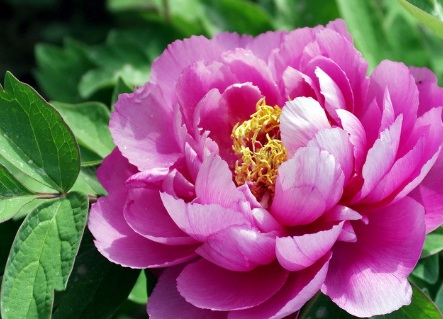 1631844565968237.jpg 1631844565968237.jpg