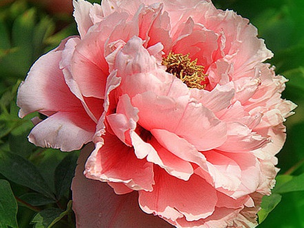 1631844599638945.jpg 1631844599638945.jpg