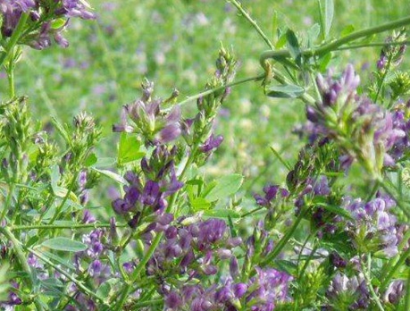 1631845108497105.jpg 1631845108497105.jpg