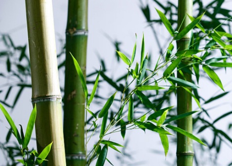 1631845304543890.jpg image.jpg