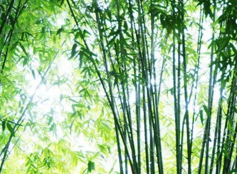 1631845316898083.jpg image.jpg