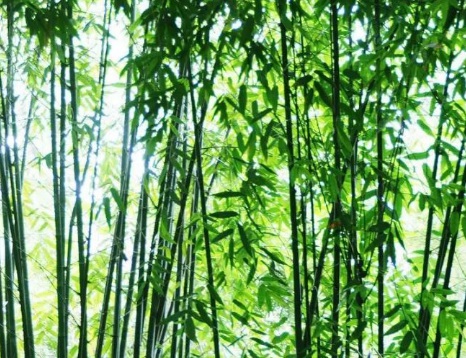 1631845326445909.jpg image.jpg