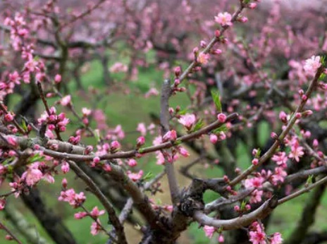 1631845637207705.jpg 1631845637207705.jpg