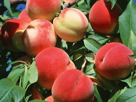 1631845646444025.jpg 1631845646444025.jpg