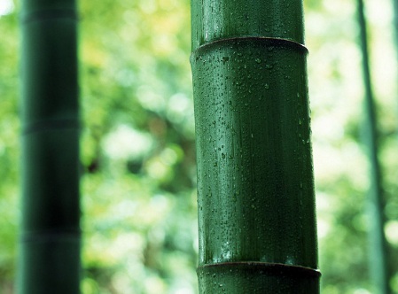 1631846524311598.jpg 1631846524311598.jpg