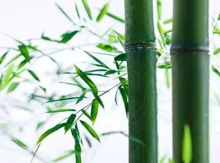 1631846539680919.jpg 1631846539680919.jpg