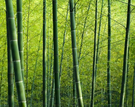 1631846553321693.jpg 1631846553321693.jpg