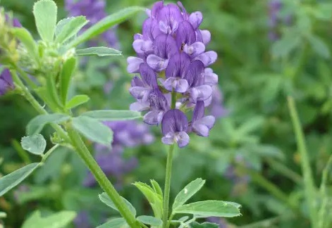 1631846607902410.jpg 1631846607902410.jpg