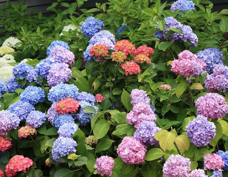 1631846880947190.jpg 1631846880947190.jpg