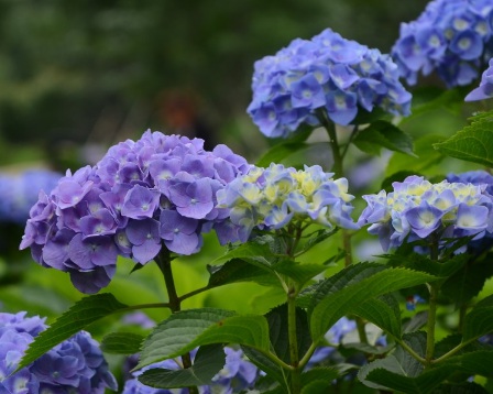 1631846908883435.jpg 1631846908883435.jpg