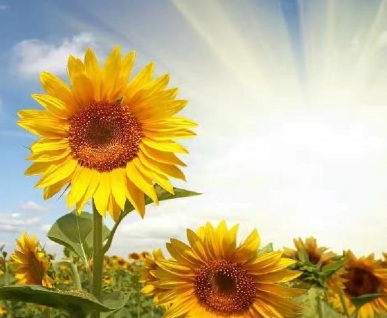 1631847082561384.jpg 1631847082561384.jpg