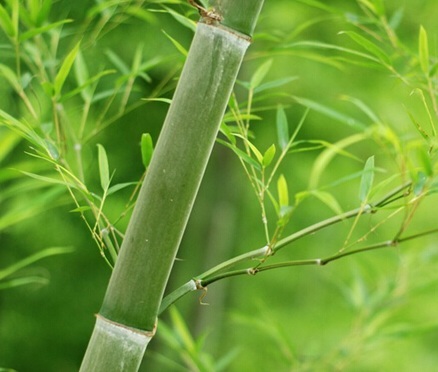 1631847179242474.jpg image.jpg