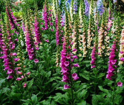 1631850909811060.jpg image.jpg