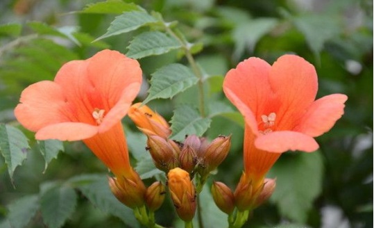 1631854084277176.jpg image.jpg