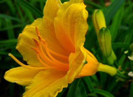 1631859007522770.jpg 1631859007522770.jpg