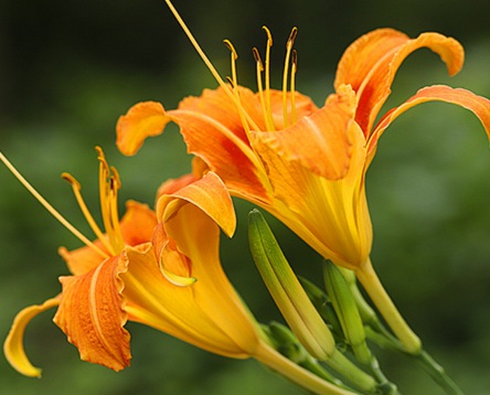 1631859021807088.jpg 1631859021807088.jpg