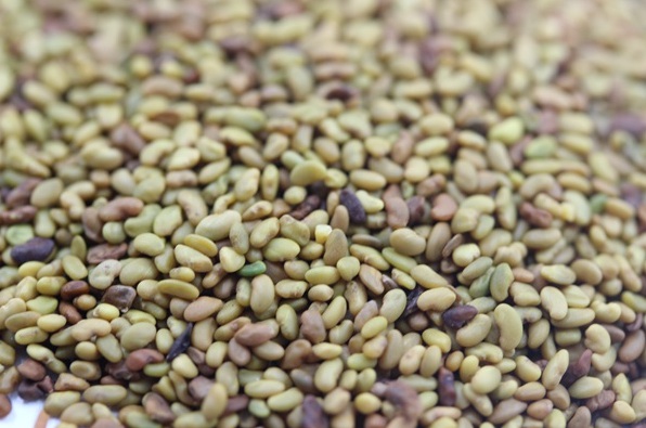 1631859568627182.jpg image.jpg